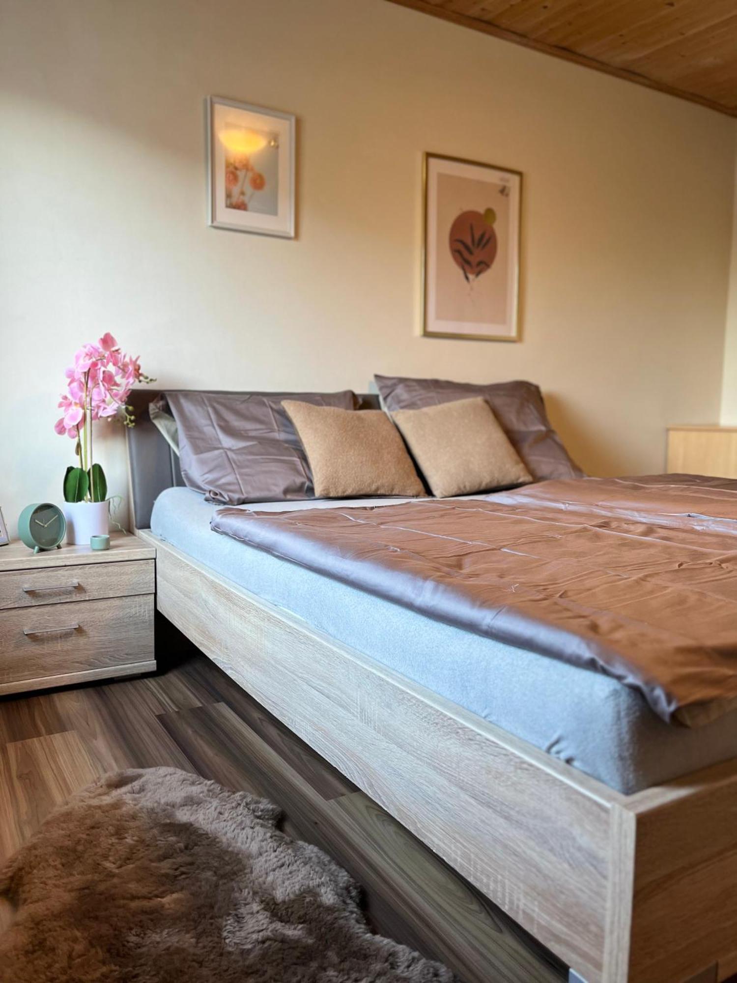 Gemuetliche Wohnung/ Cozy Apartment Niklasdorf 外观 照片
